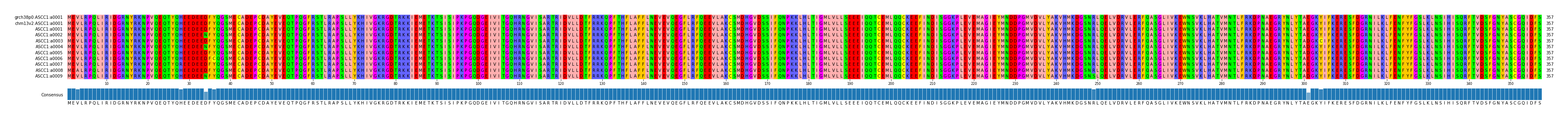 Multiple Alignments (by translate haplotype frequency)