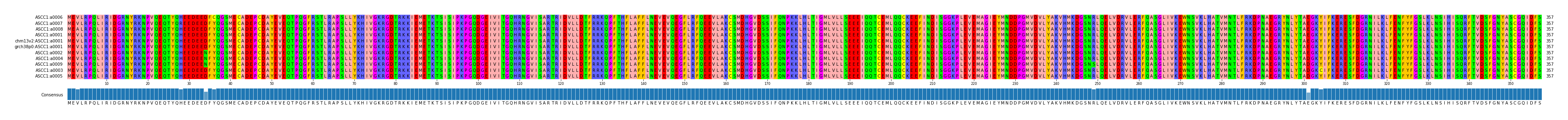 Multiple Alignments (by translate haplotype similarity)