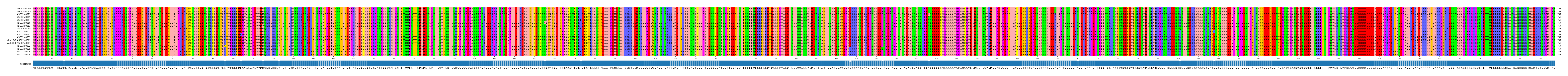 Multiple Alignments (by translate haplotype similarity)
