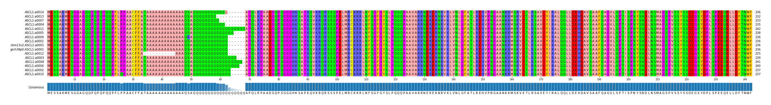 Multiple Alignments (by translate haplotype similarity)