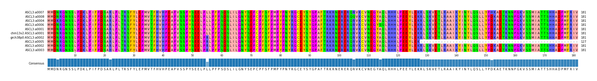 Multiple Alignments (by translate haplotype similarity)