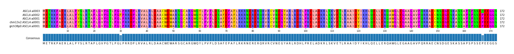 Multiple Alignments (by translate haplotype similarity)