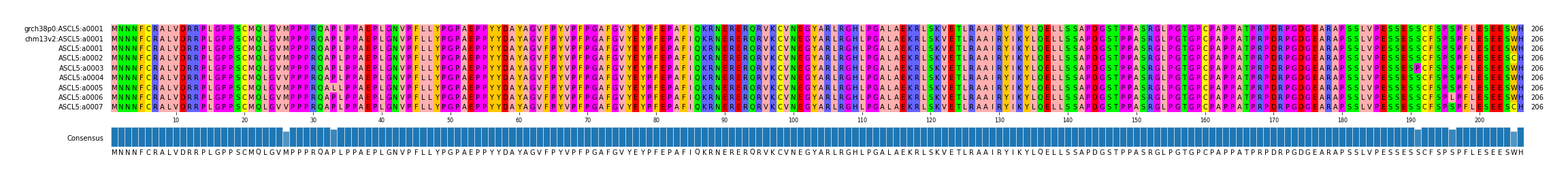 Multiple Alignments (by translate haplotype frequency)