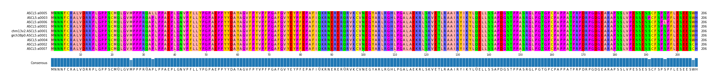 Multiple Alignments (by translate haplotype similarity)