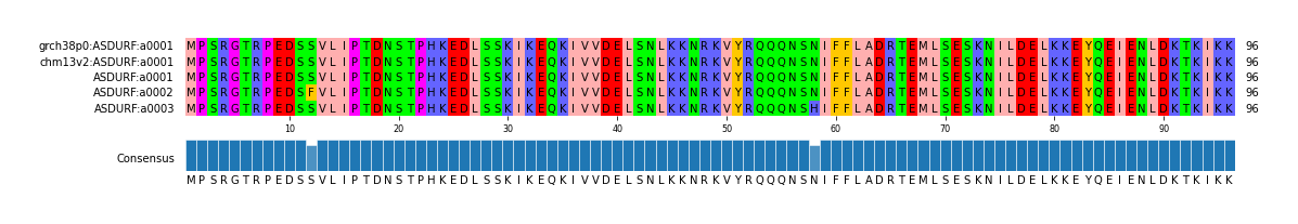 Multiple Alignments (by translate haplotype frequency)