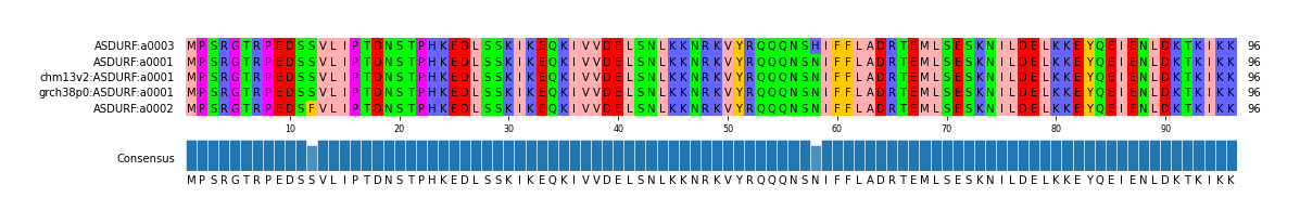 Multiple Alignments (by translate haplotype similarity)