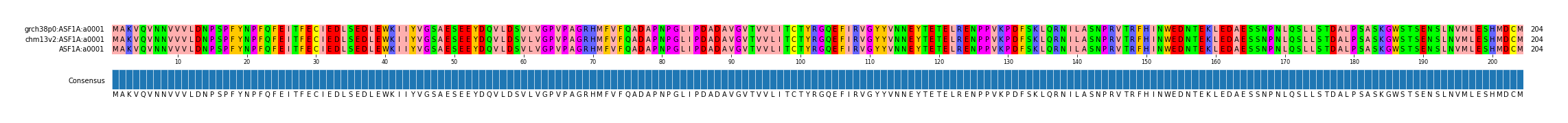 Multiple Alignments (by translate haplotype similarity)