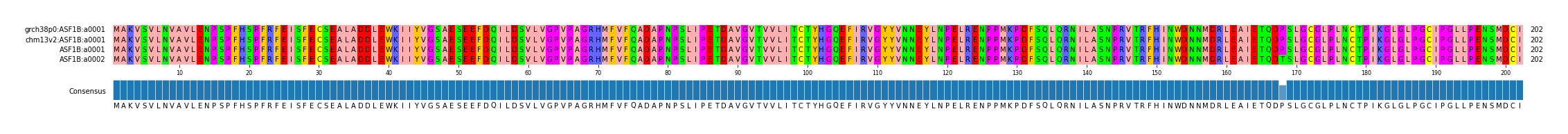 Multiple Alignments (by translate haplotype frequency)