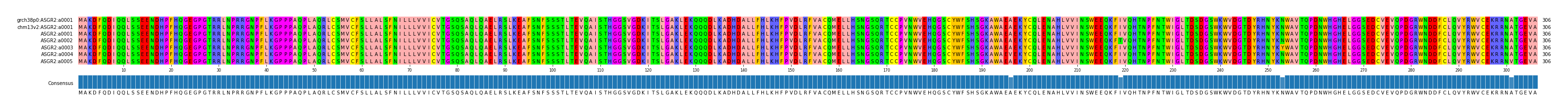 Multiple Alignments (by translate haplotype frequency)