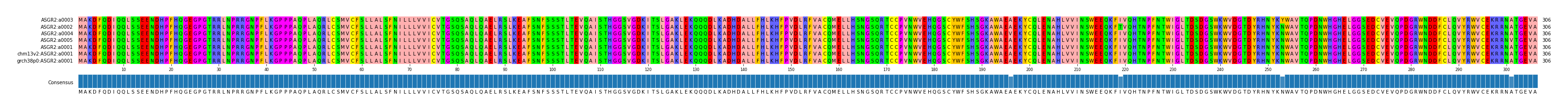 Multiple Alignments (by translate haplotype similarity)