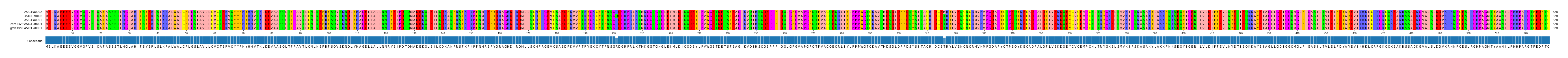 Multiple Alignments (by translate haplotype similarity)