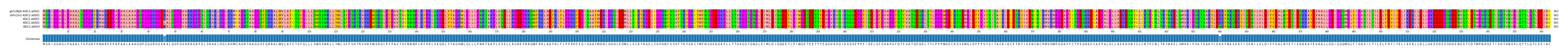 Multiple Alignments (by translate haplotype frequency)