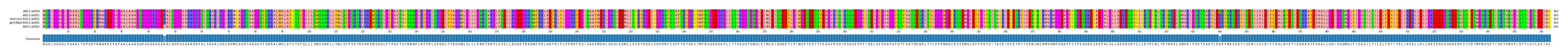 Multiple Alignments (by translate haplotype similarity)