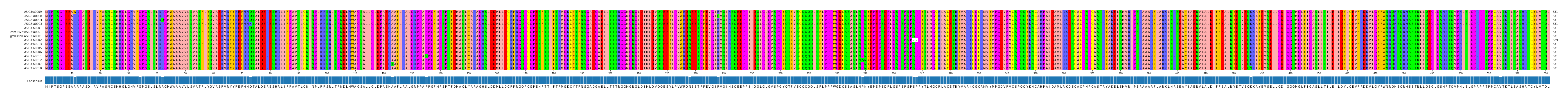 Multiple Alignments (by translate haplotype similarity)
