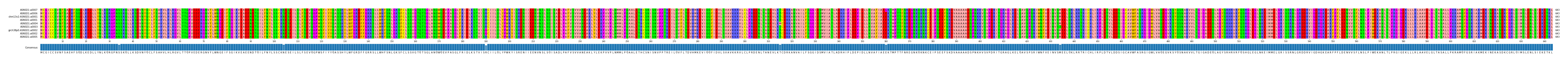 Multiple Alignments (by translate haplotype similarity)