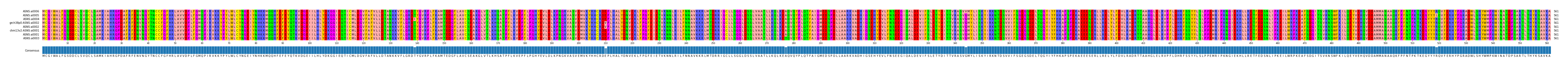Multiple Alignments (by translate haplotype similarity)