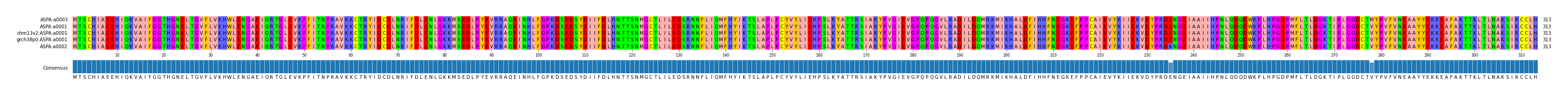 Multiple Alignments (by translate haplotype similarity)