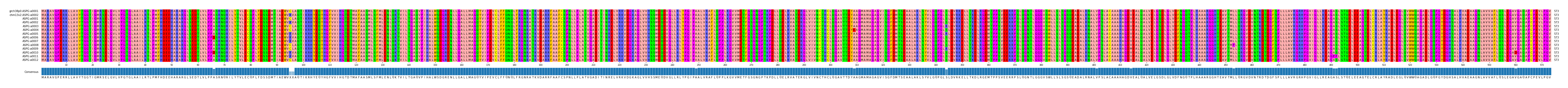 Multiple Alignments (by translate haplotype frequency)