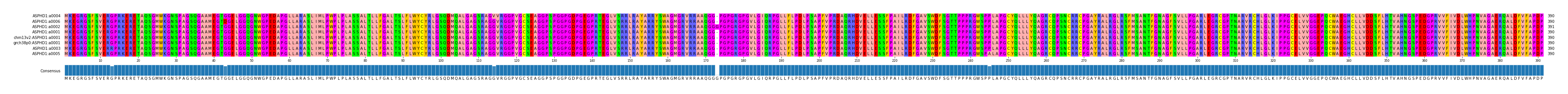 Multiple Alignments (by translate haplotype similarity)