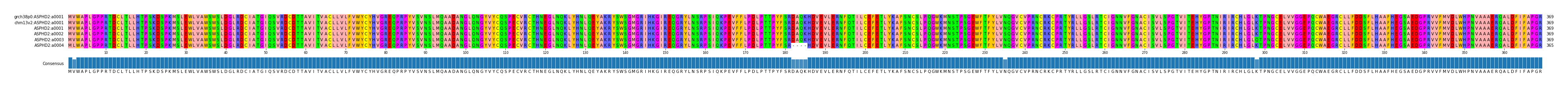 Multiple Alignments (by translate haplotype frequency)