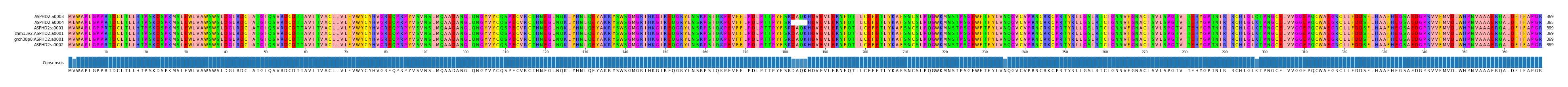 Multiple Alignments (by translate haplotype similarity)