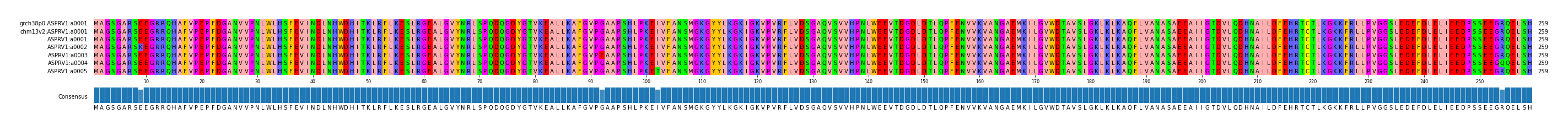 Multiple Alignments (by translate haplotype frequency)