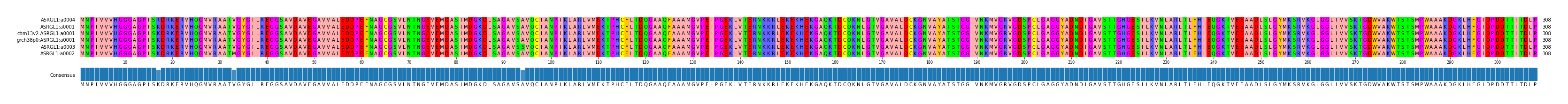 Multiple Alignments (by translate haplotype similarity)
