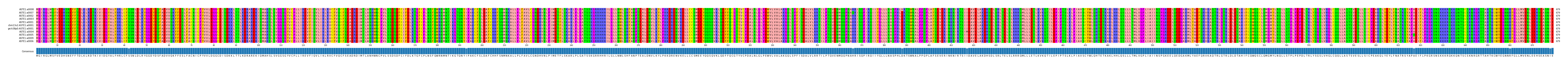 Multiple Alignments (by translate haplotype similarity)