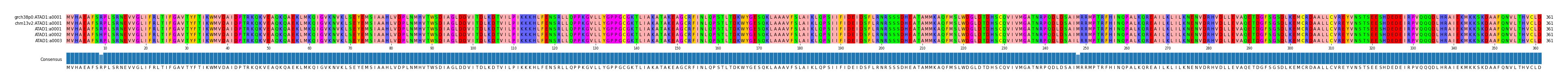 Multiple Alignments (by translate haplotype frequency)