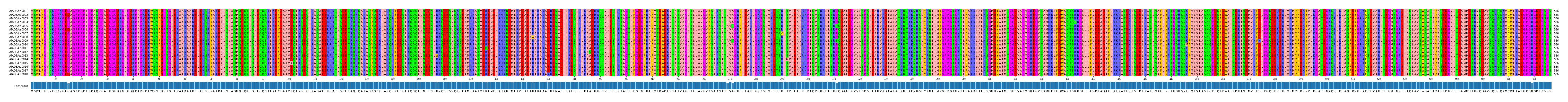 Multiple Alignments (by translate haplotype frequency)
