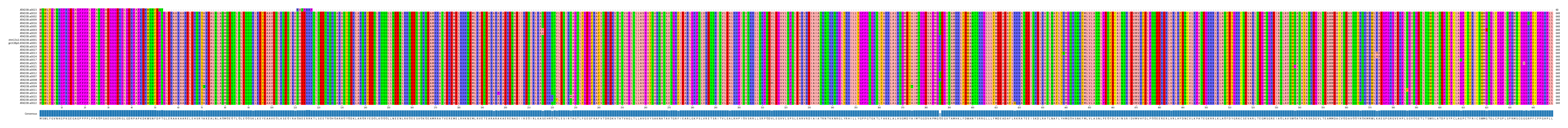 Multiple Alignments (by translate haplotype similarity)