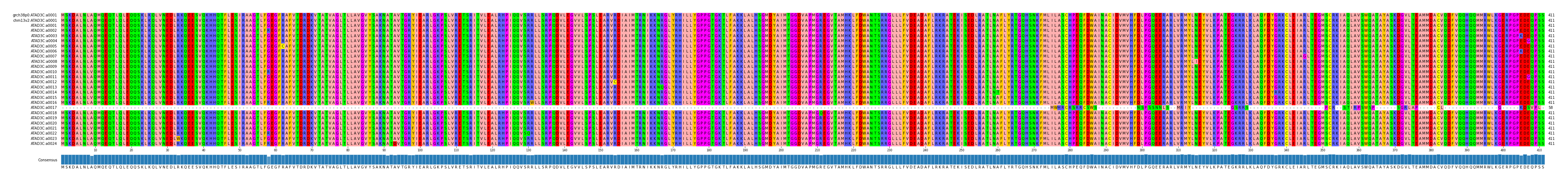 Multiple Alignments (by translate haplotype frequency)