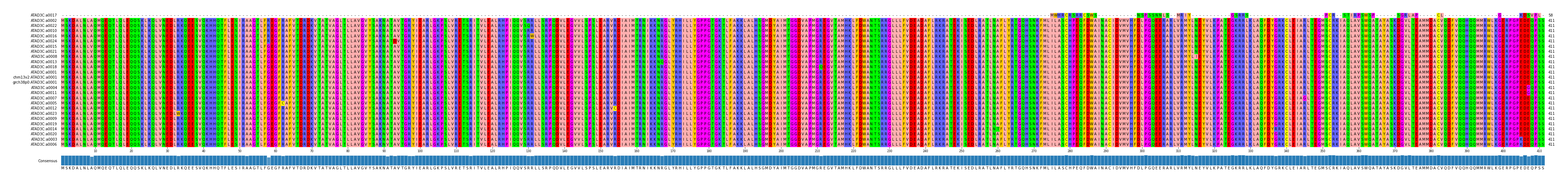 Multiple Alignments (by translate haplotype similarity)