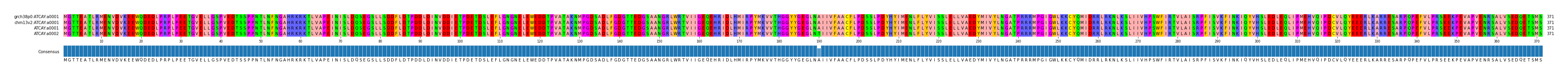 Multiple Alignments (by translate haplotype similarity)