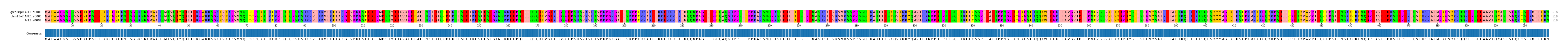 Multiple Alignments (by translate haplotype similarity)
