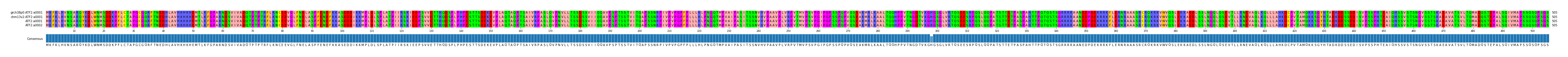 Multiple Alignments (by translate haplotype similarity)