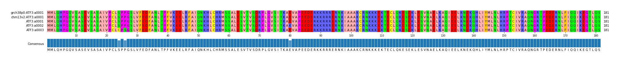 Multiple Alignments (by translate haplotype frequency)