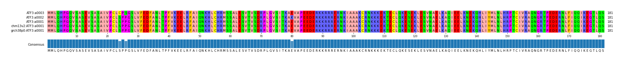 Multiple Alignments (by translate haplotype similarity)