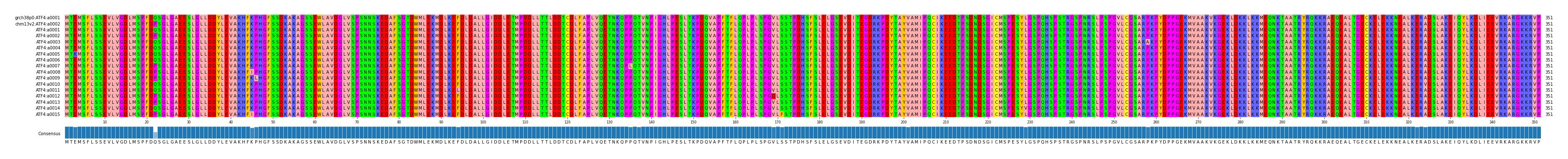 Multiple Alignments (by translate haplotype frequency)