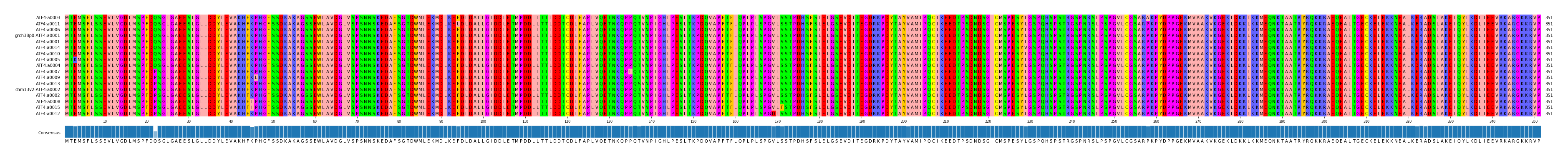 Multiple Alignments (by translate haplotype similarity)