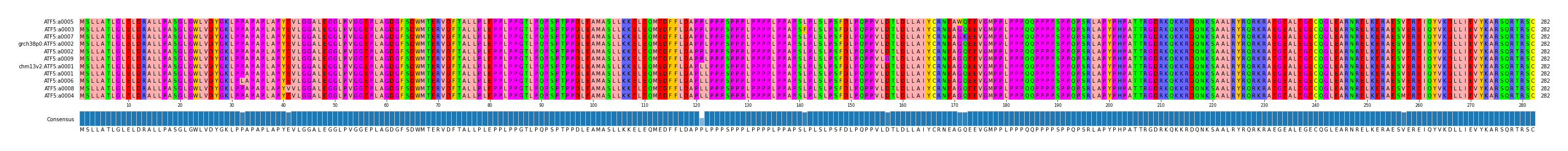 Multiple Alignments (by translate haplotype similarity)