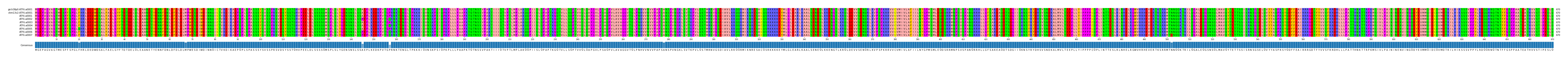 Multiple Alignments (by translate haplotype frequency)