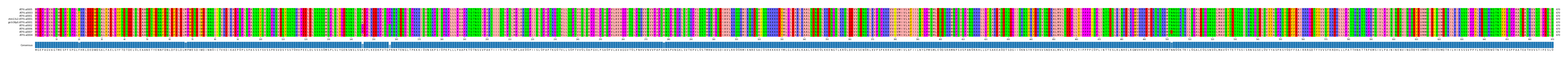 Multiple Alignments (by translate haplotype similarity)