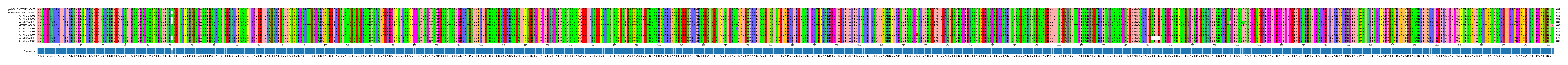 Multiple Alignments (by translate haplotype frequency)