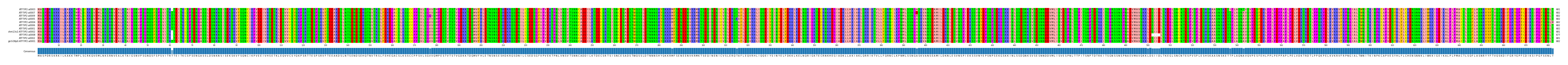 Multiple Alignments (by translate haplotype similarity)