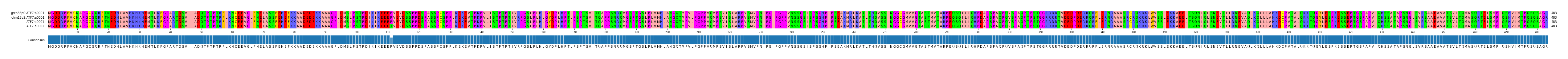 Multiple Alignments (by translate haplotype frequency)