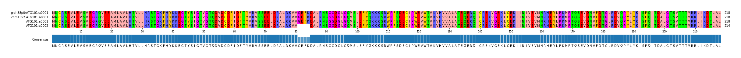 Multiple Alignments (by translate haplotype similarity)