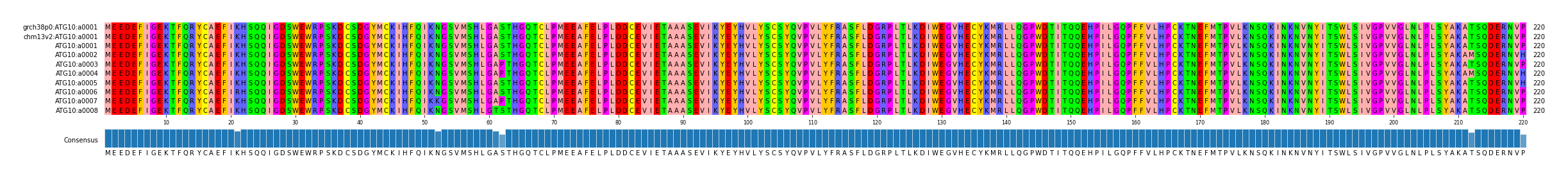 Multiple Alignments (by translate haplotype frequency)