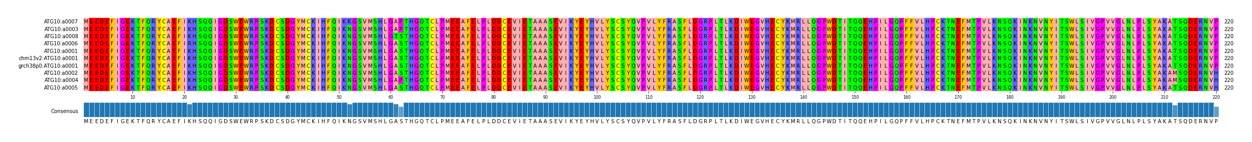 Multiple Alignments (by translate haplotype similarity)