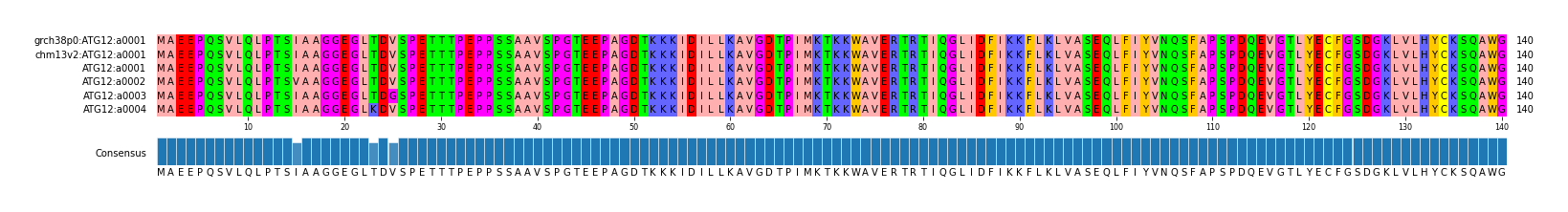 Multiple Alignments (by translate haplotype frequency)